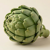 Artichoke